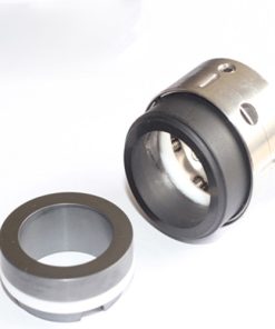 PTFE Wedge Mechanical Seals N12